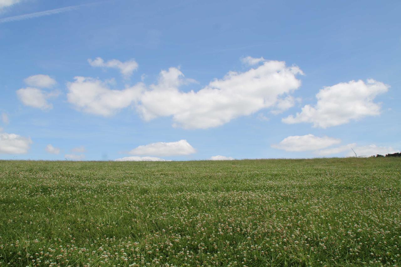 Hainhof Gaestewohnungen Bad König Exteriör bild